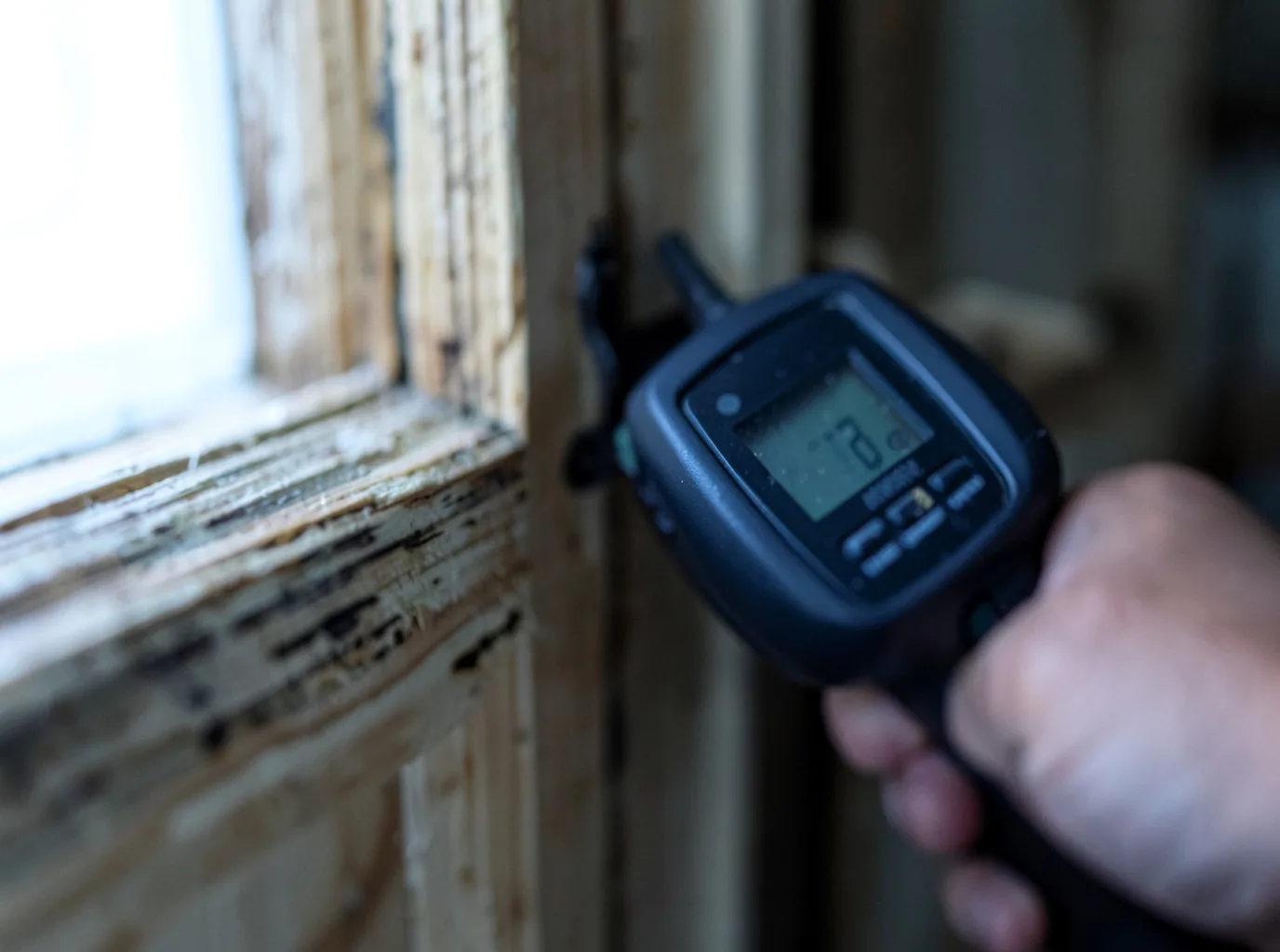 Water Damage Restoration Hastings, FL FAQs